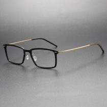 Titanium & Nylon Eyeglasses LE0119_Black & Gold