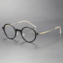 Titanium & Nylon Eyeglasses LE0115_Black & Gold