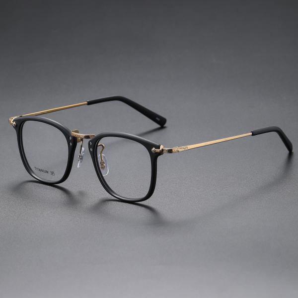Acetate & Titanium Eyeglasses LE0341_Frosted Gold