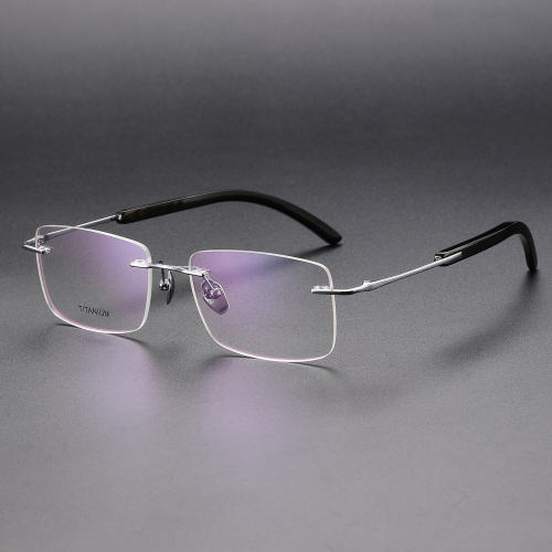 Titanium & Horn Eyeglasses LE1031_Silver