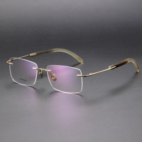 Titanium & Horn Eyeglasses LE1031_Gold