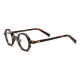 Geometric Acetate Glasses LE0627_Tortoise