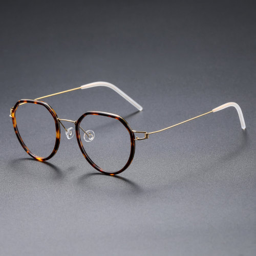 Round Titanium & Acetate Glasses LE8031_Gold - Tortoise