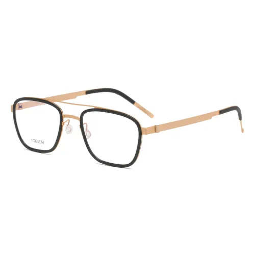 Aviator Titanium & Acetate Glasses LE8027_Gold