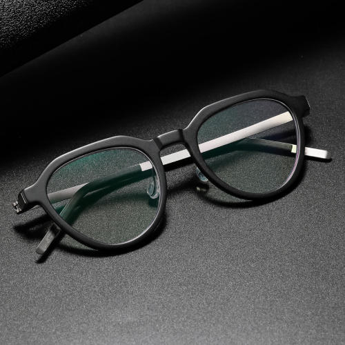 Geometric Titanium & Acetate Glasses LE8003_Black