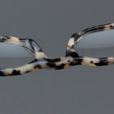 Geometric Acetate Glasses LE7026_Beige Tortoise