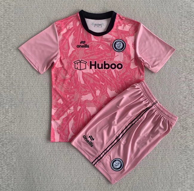 Kids kit 23-24 Bristol City Goalkeeper Thailand Quality
