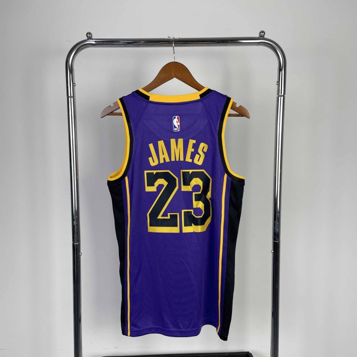 Heat Transfer NBA Los Angeles Lakers 2023 LeBron  James Flying Man limited Purple Jersey