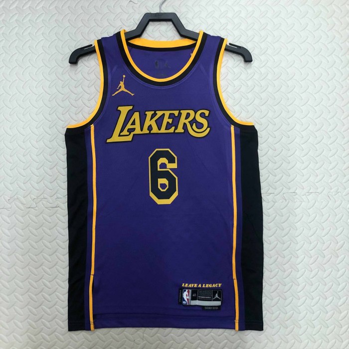 Heat Transfer NBA Los Angeles Lakers 2023 LeBron James  Flying Man limited Purple Jersey
