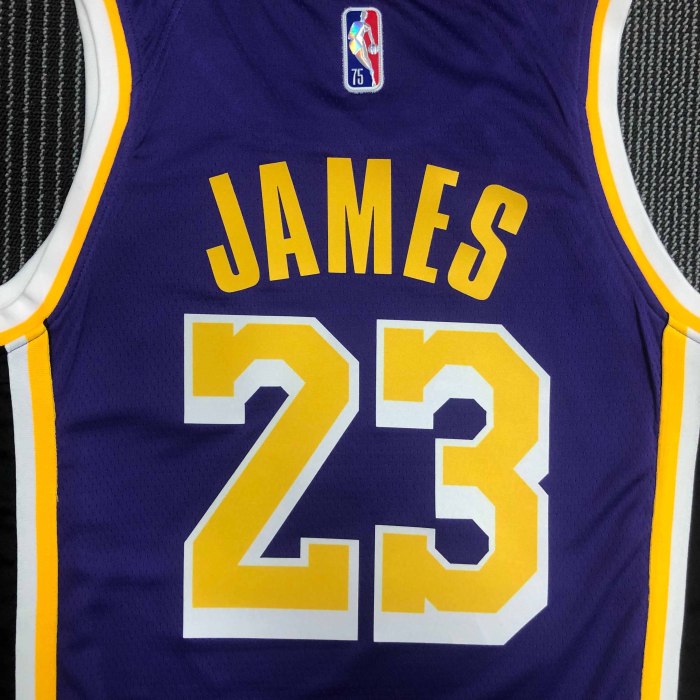 Heat Transfer NBA Los Angeles Lakers LeBron James 75th Anniversary Flying Man limited Purple Jersey