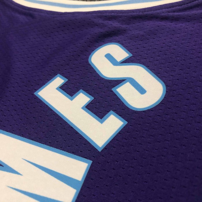Heat Transfer NBA 2022 Los Angeles Lakers LeBron James  75th Anniversary City Edition Purple Jersey
