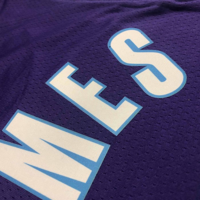Heat Transfer NBA 2022 Los Angeles Lakers LeBron James 75th Anniversary City Edition Purple Jersey