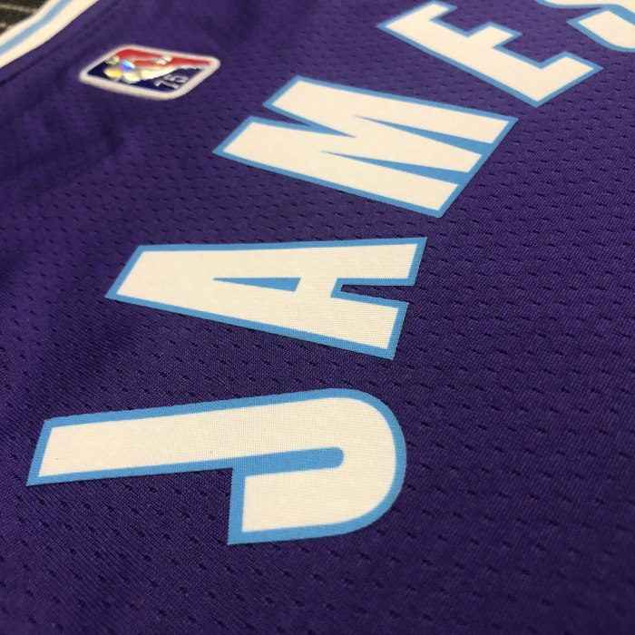 Heat Transfer NBA 2022 Los Angeles Lakers LeBron James  75th Anniversary City Edition Purple Jersey