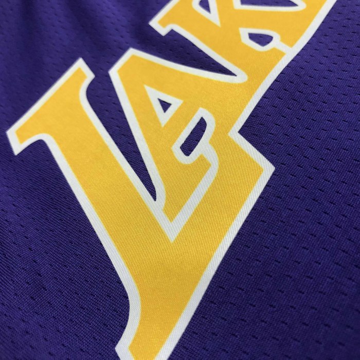 Heat Transfer NBA  Los Angeles Lakers Russell Westbrook Purple Jersey