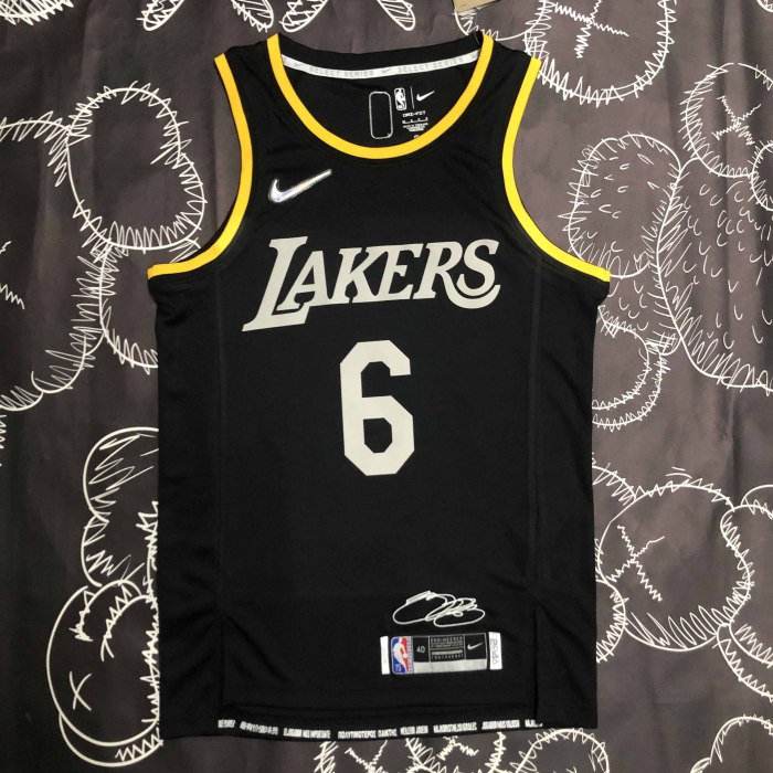 Heat Transfer NBA  Los Angeles Lakers LeBron James Glory Version Black Jersey