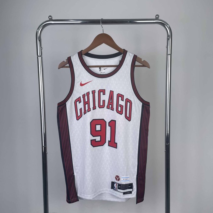 Heat Transfer 2023 NBA Chicago Bulls Dennis Rodman City edition White Jersey