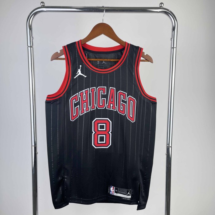 Heat Transfer 2023 NBA Chicago Bulls Zach LaVine Flying man limited Black Jersey