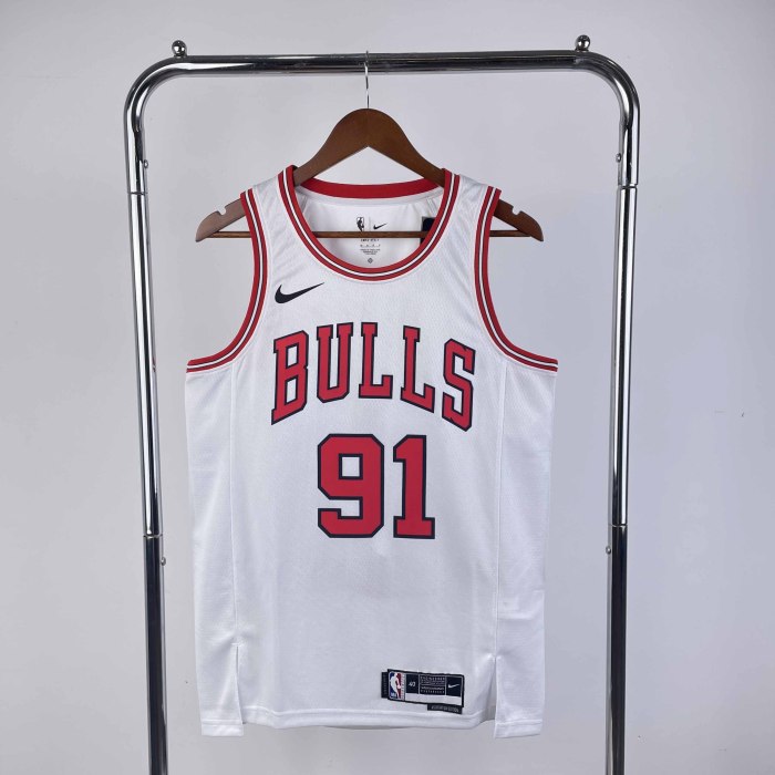 Heat Transfer 2023 NBA Chicago Bulls Dennis Rodman White Jersey