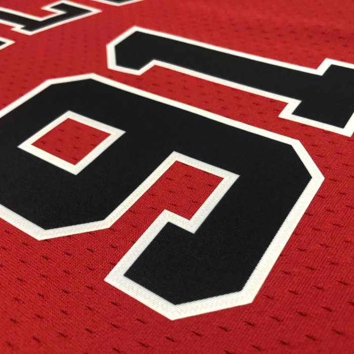Heat Transfer 1998 Chicago Bulls Dennis Rodman Red Retro Jersey