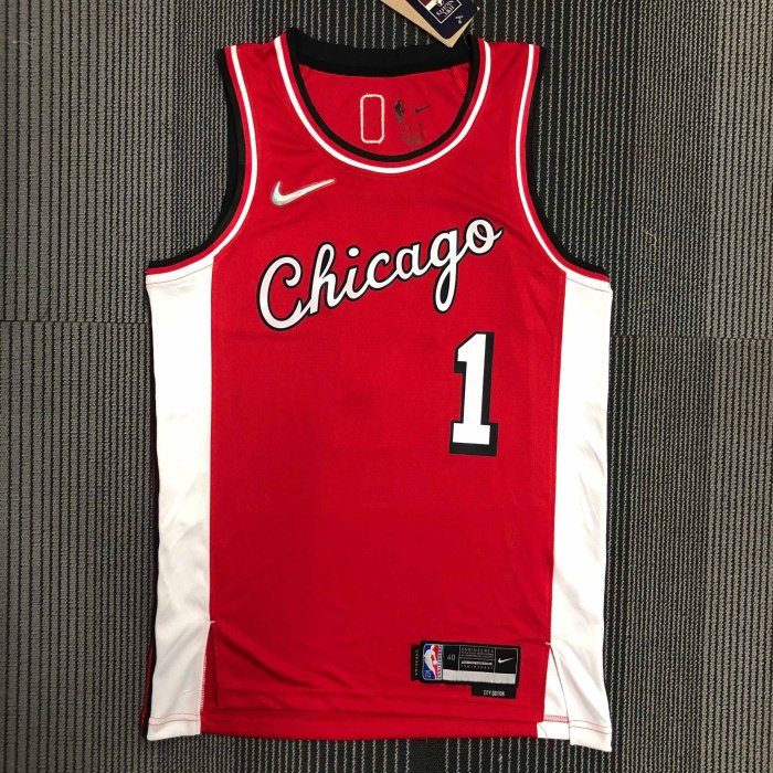 Heat Transfer 2022 Chicago Bulls Derrick Rose Red City edition Jersey
