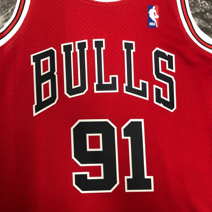 Heat Transfer 1998 Chicago Bulls Dennis Rodman Red Retro Jersey