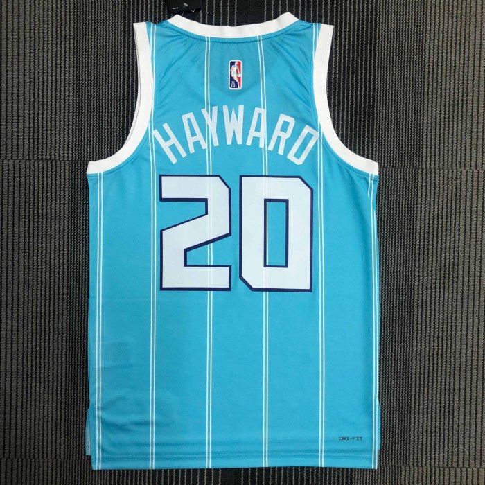 Heat Transfer Charlotte Hornets Gordon Hayward  75th Anniversary Blue Jersey