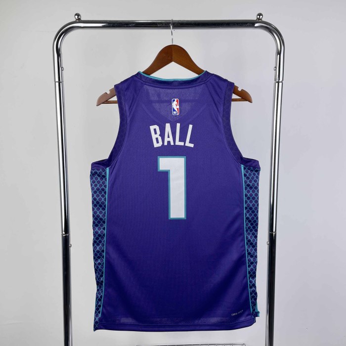 Heat Transfer Charlotte Hornets LaMelo Ball 2022-23 Jordan Brand Purple Statement Edition Swingman Jersey
