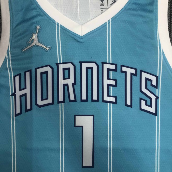Heat Transfer Charlotte Hornets LaMelo Ball 75th Anniversary Blue Jersey