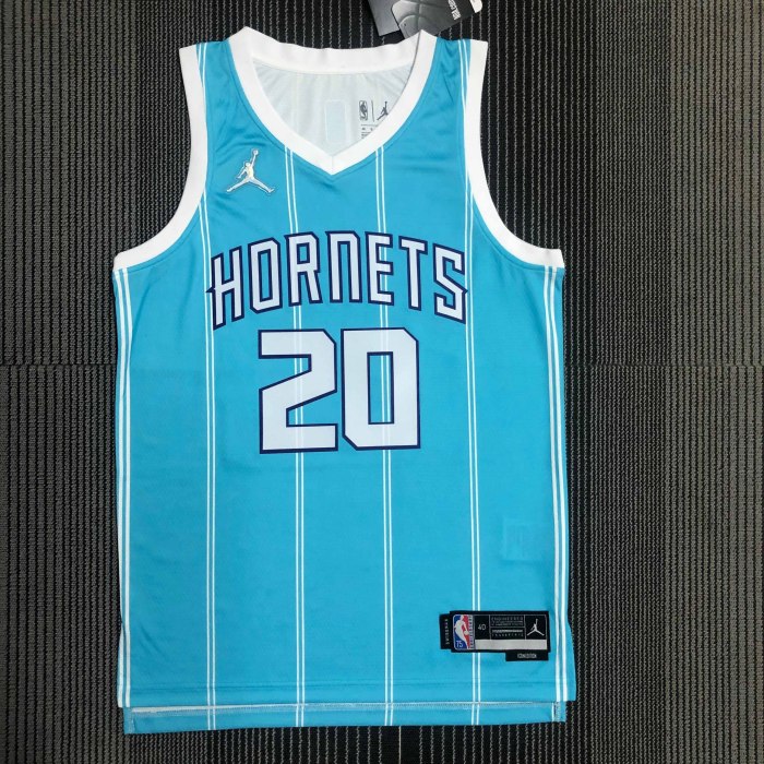 Heat Transfer Charlotte Hornets Gordon Hayward  75th Anniversary Blue Jersey