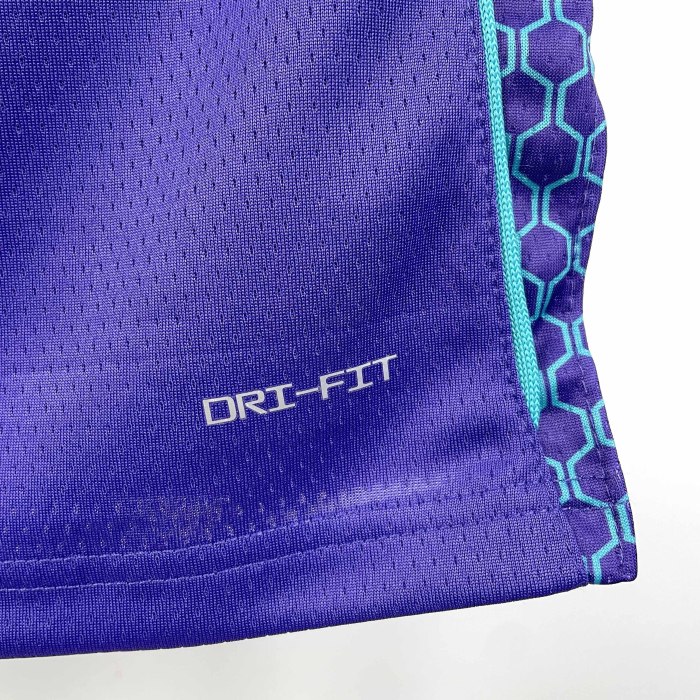 Heat Transfer Charlotte Hornets LaMelo Ball 2022-23 Jordan Brand Purple Statement Edition Swingman Jersey