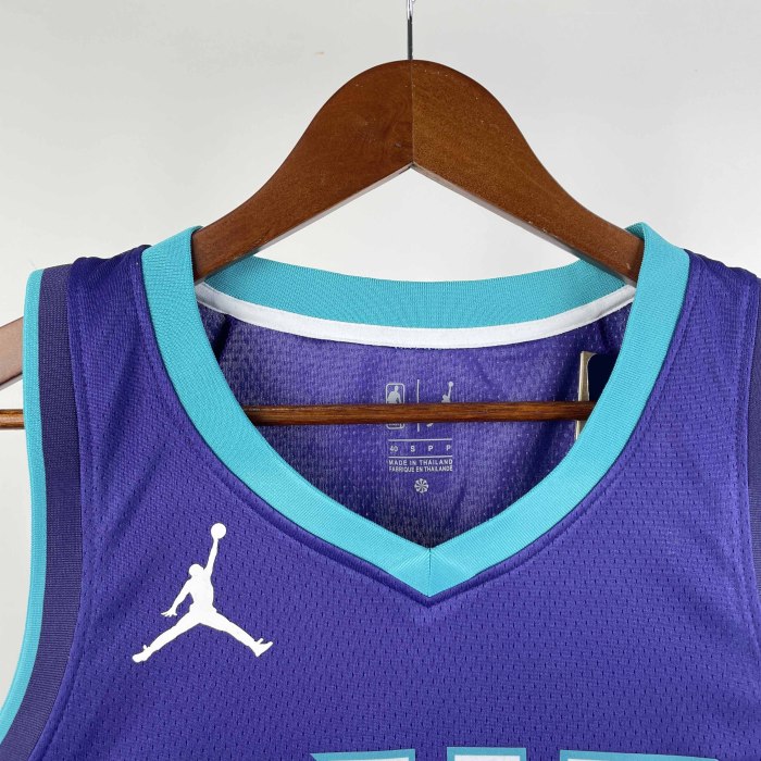 Heat Transfer Charlotte Hornets LaMelo Ball 2019-20 Jordan Brand Purple Statement Edition Swingman Jersey