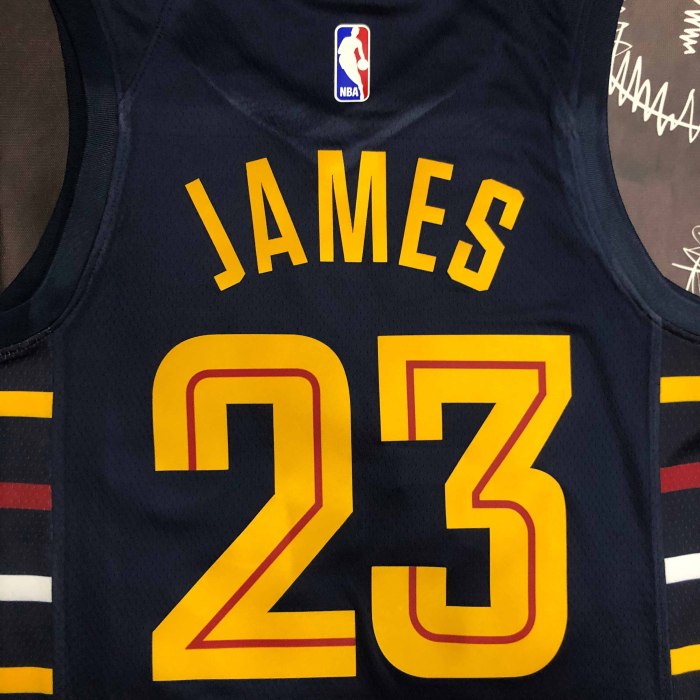Heat Transfer 2023 Cleveland Cavaliers Lebron James  Black Jersey