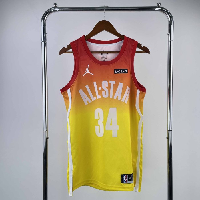 Heat Transfer 2023  All Star Giannis Antetokounmpo Yellow Jersey