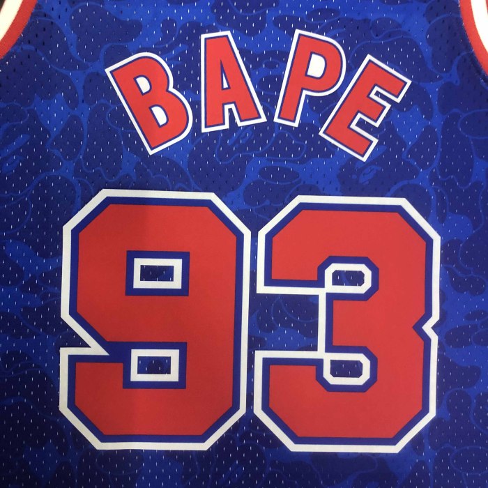 Heat Transfer NBA Brooklyn Nets BAPE×M&N Royal Hardwood Classics Swingman Jersey