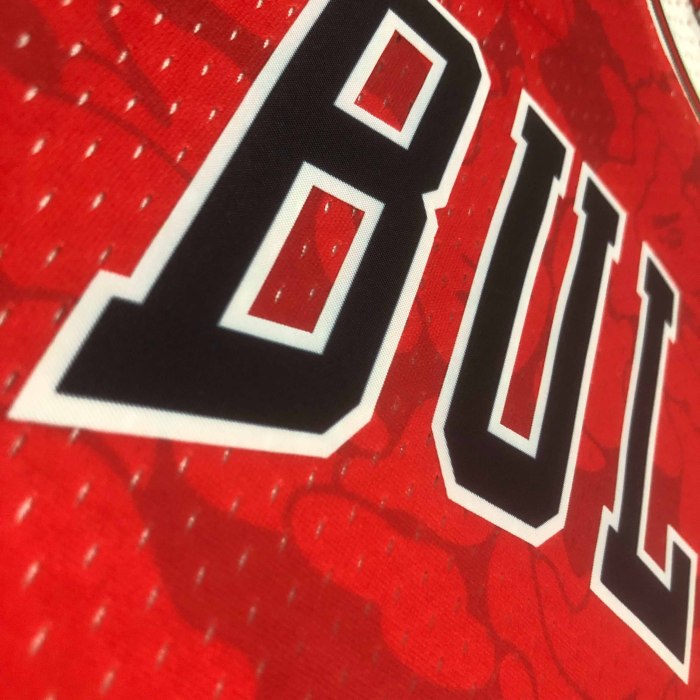 Heat Transfer NBA Chicago Bulls BAPE×M&N Hardwood Classics Swingman Jersey
