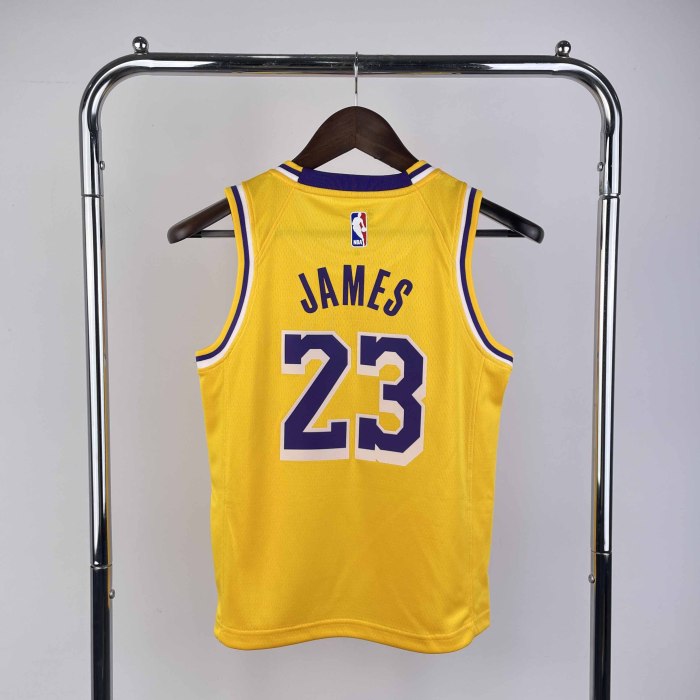 KIDS Heat Transfer 2023 Los Angeles Lakers LeBron James Yellow Jersey