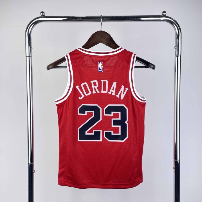 KIDS Heat Transfer 2023 Chicago Bulls Michael Jordan Red Jersey