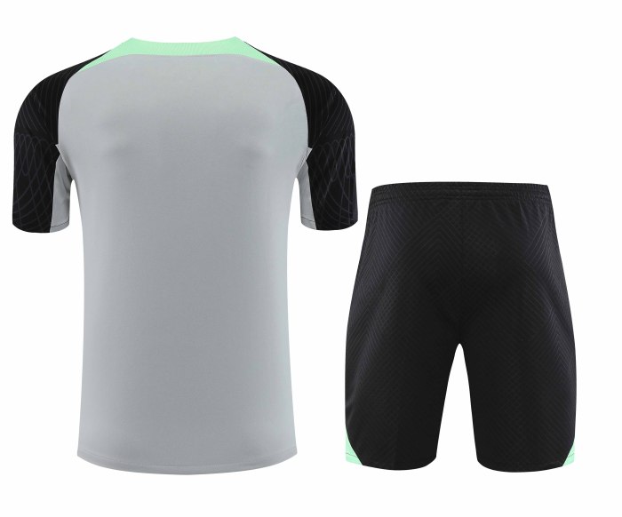 Adult Kit 23-24 Liverpool Gray Training set Football shirt + short