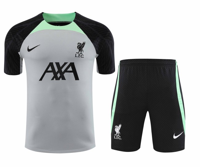 Adult Kit 23-24 Liverpool Gray Training set Football shirt + short