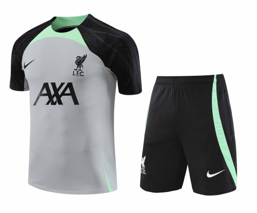 Adult Kit 23-24 Liverpool Gray Training set Football shirt + short