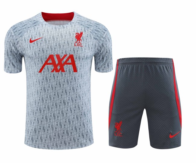 Adult Kit 23-24 Liverpool Light Gray Training set Football shirt + short
