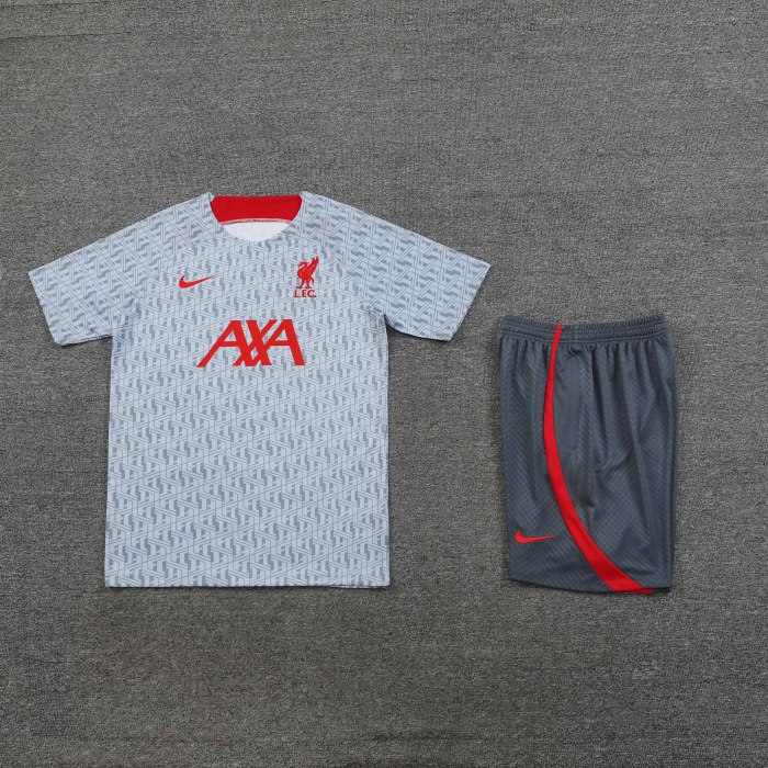 Adult Kit 23-24 Liverpool Light Gray Training set Football shirt + short