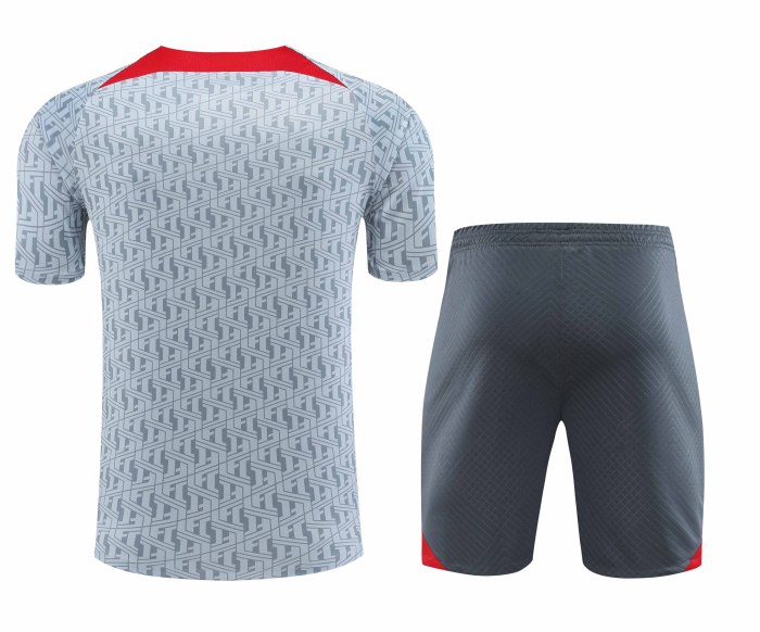Adult Kit 23-24 Liverpool Light Gray Training set Football shirt + short