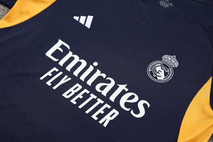 Adult Kit 23-24 Real Madrid Navy blue Training set Football shirt + short