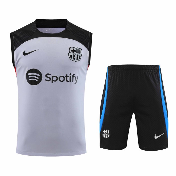 Adult Kit 23-24 Barcelona Light purple Sleeveless Training set Football shirt + short