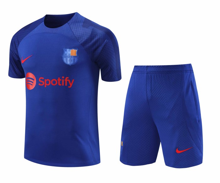 Adult Kit 23-24 Barcelona Dark blue Training set Football shirt + short