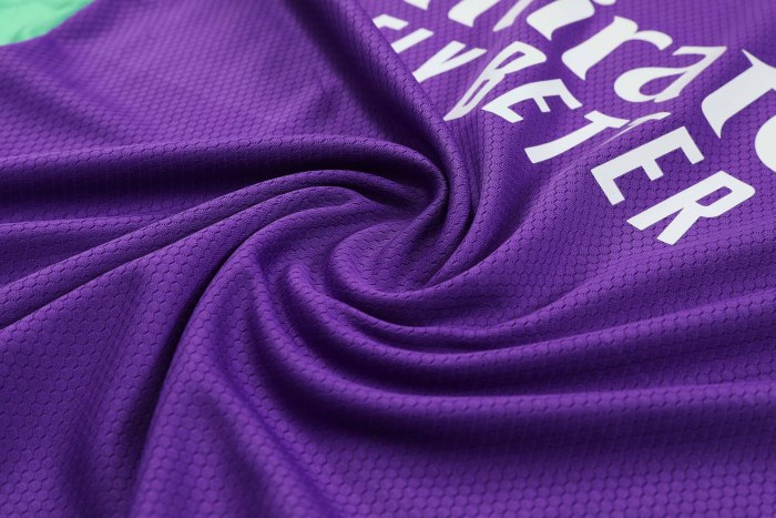 Adult Kit 23-24 Real Madrid PurpleTraining set Football shirt + short