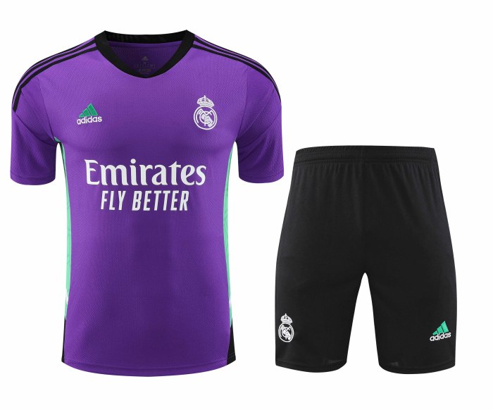 Adult Kit 23-24 Real Madrid PurpleTraining set Football shirt + short