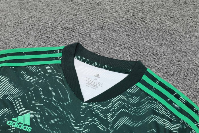 Adult Kit 23-24 Real Madrid Dark green Training set Football shirt + short