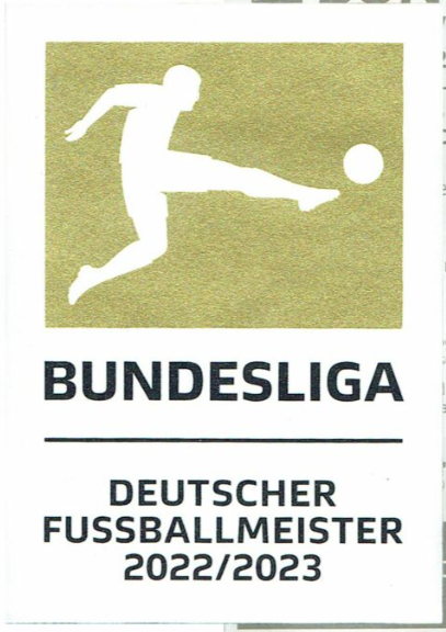 23/24 Bayern Munich Third Jersey